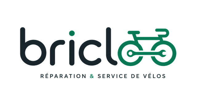 Bricloo